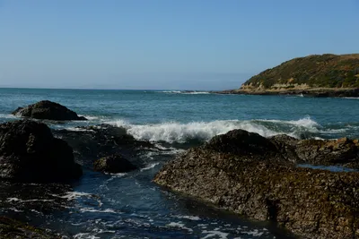 DSC_2670 (Large).JPG